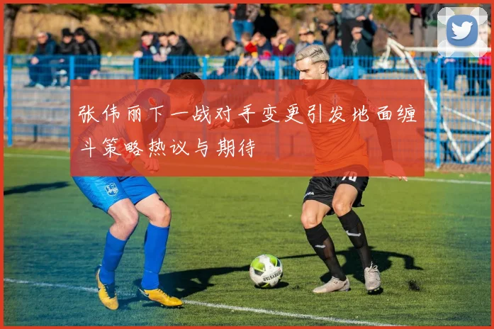 张伟丽下一战对手变更引发地面缠斗策略热议与期待